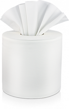 2PLY CENTER PULL TOWEL WHITE  6/600 LIVI VPG SELECT 