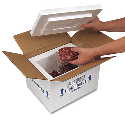 8x6x9 Insulated Shipper Box  1.5 Foam  1/ea