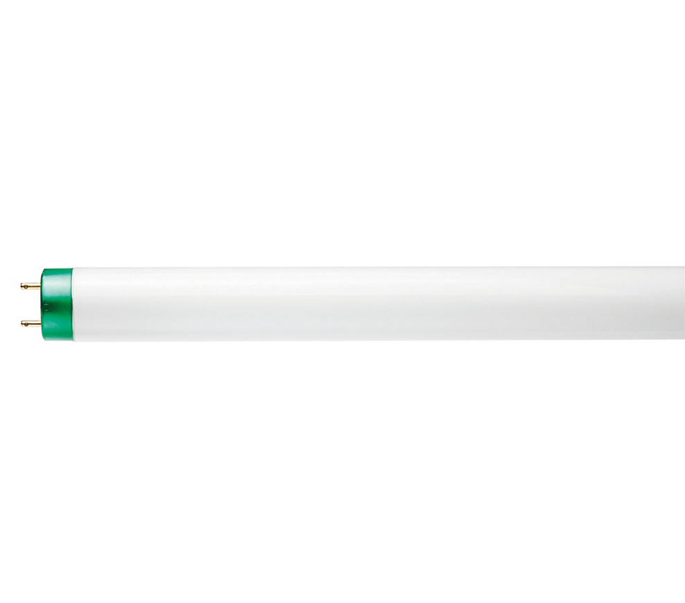 32 WATT 4' FLUORESCENT BULB